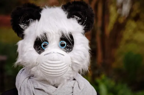 SlotsWin Casino Support